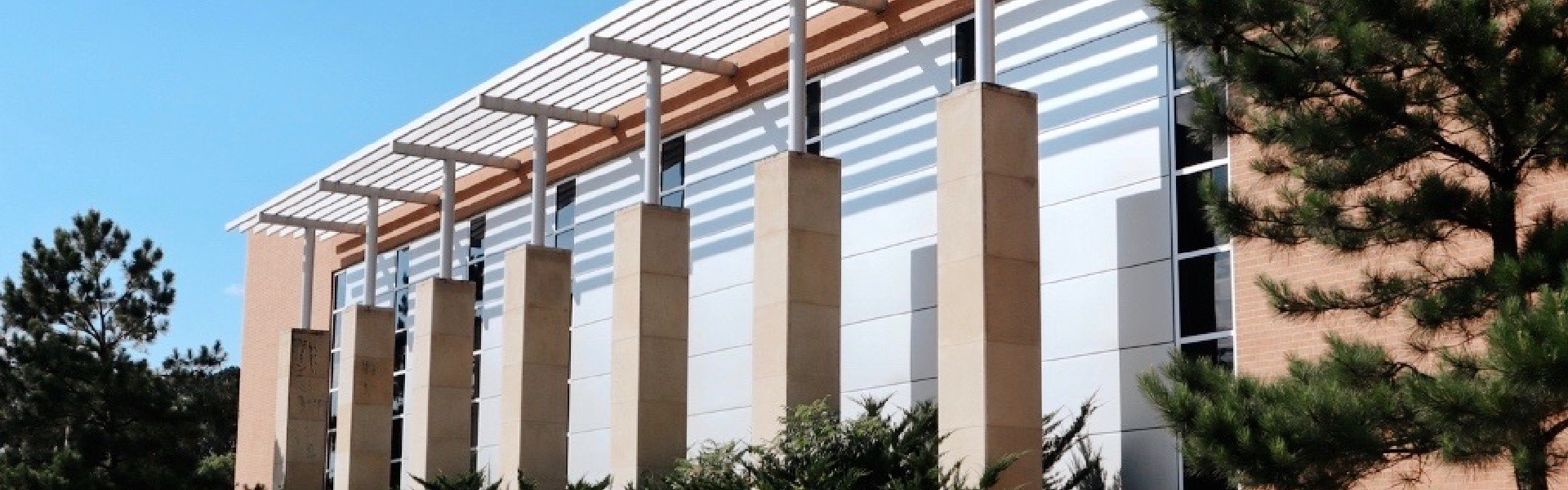 Health Careers Angelina College