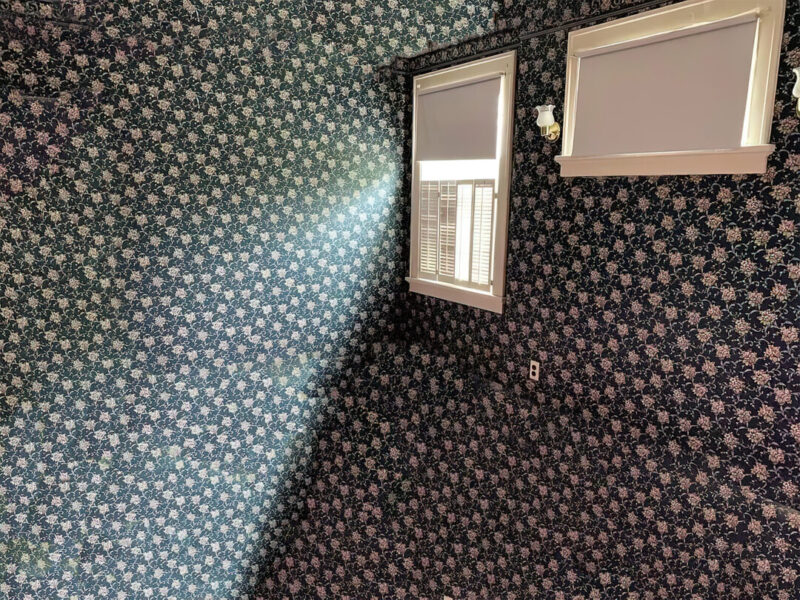 Room with dark floral wallpaper on walls, ceiling, and outlet; two windows with white blinds and a small wall light nearby.