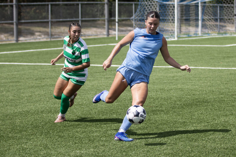 Two female soccer players chase a ball on grass; one in blue prepares to kick as the other in green and white follows.
