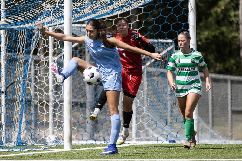 Soccer player in blue controls the ball near the goal as a red-clad goalie and striped player watch closely during a match.
