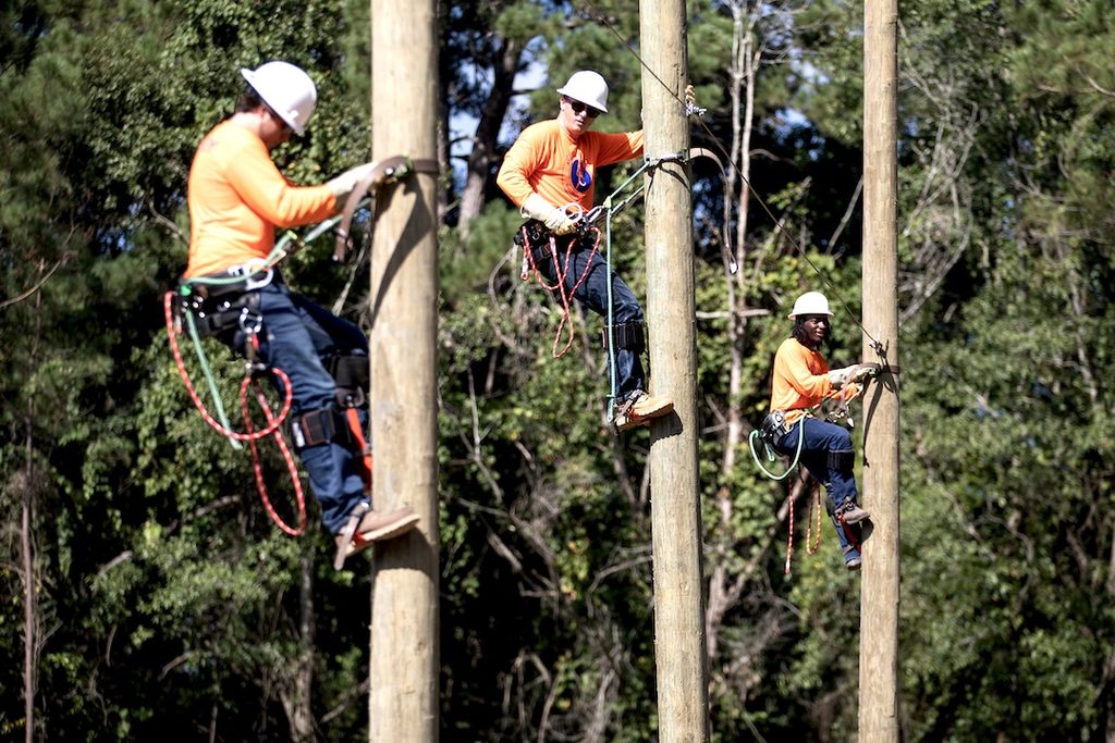Three people in orange shirts and helmets scale tall wooden poles with harnesses and climbing gear, green trees behind them.