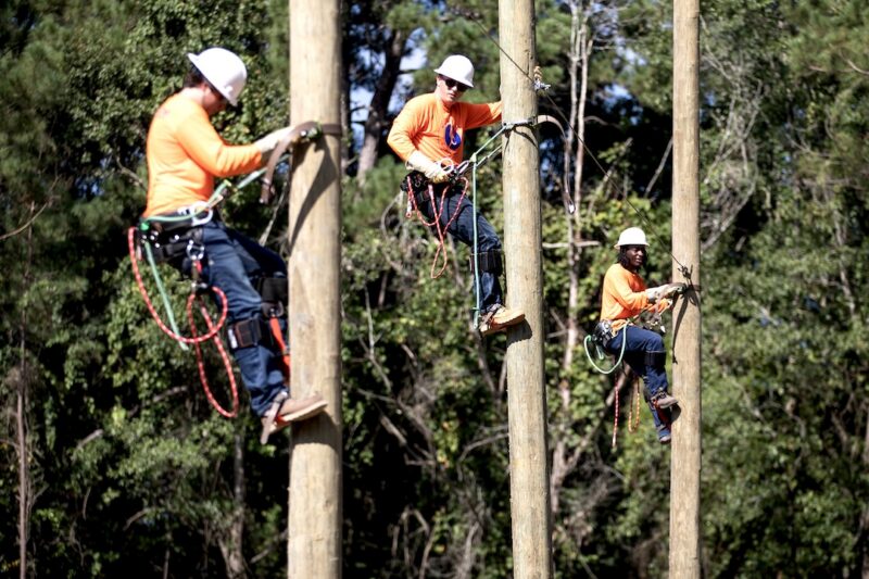 Three people in orange shirts and helmets scale tall wooden poles with harnesses and climbing gear, green trees behind them.