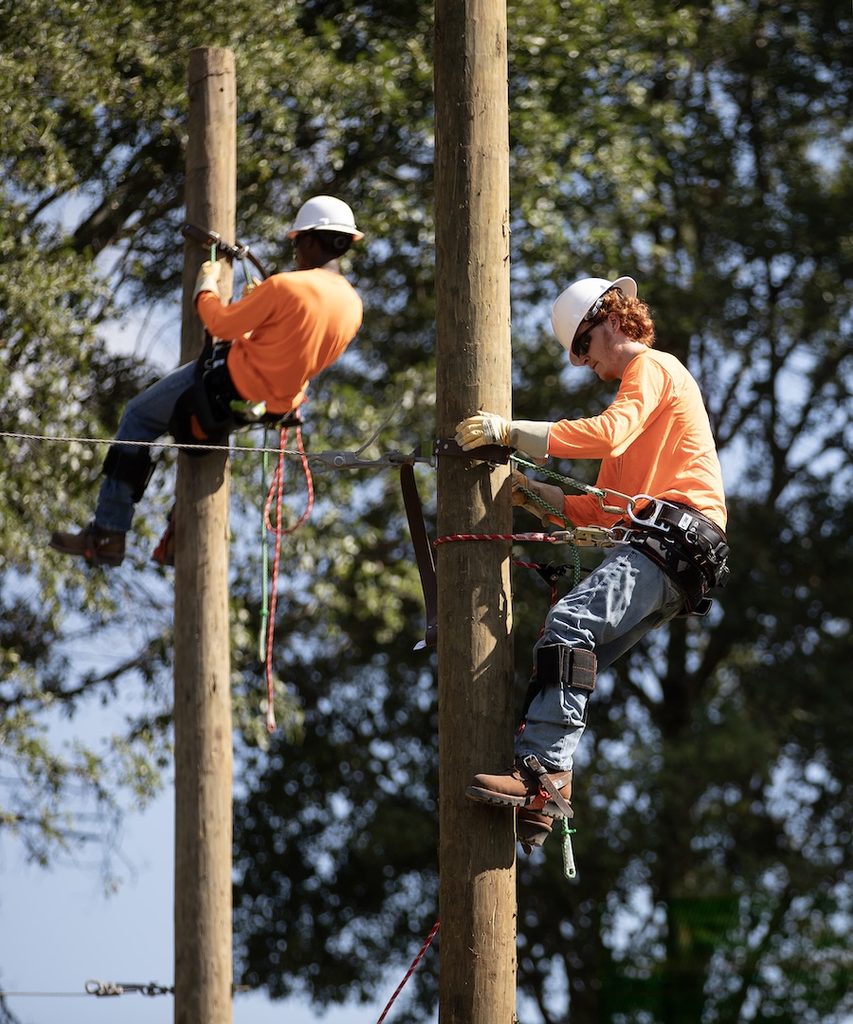 Two utility workers in orange shirts and hard hats climb wooden poles outdoors with harnesses; green trees in the background.